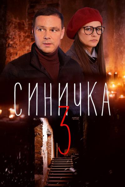 Постер к фильму Синичка 3