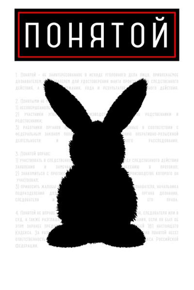 Постер к фильму Понятой