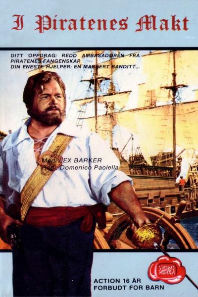 Постер к фильму Тайна Черного Ястреба