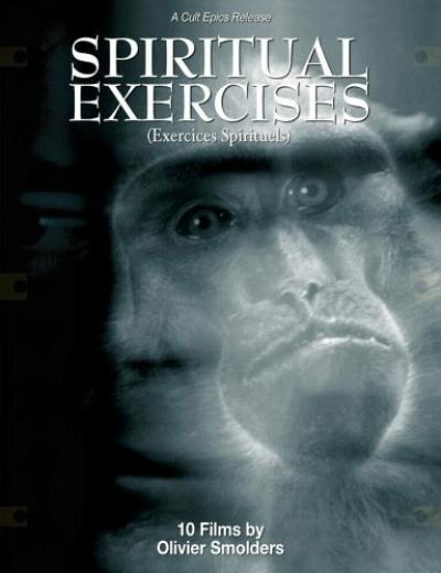 Постер к фильму Любитель