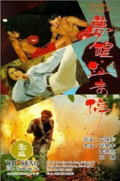 Постер к фильму Грезить наяву