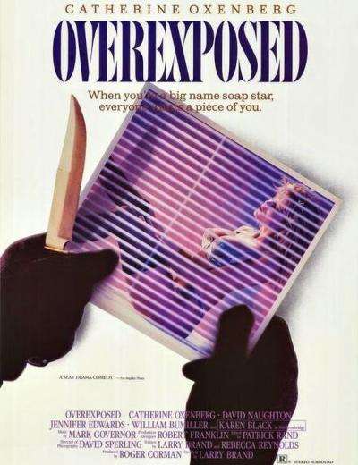 Постер к фильму Жертва успеха