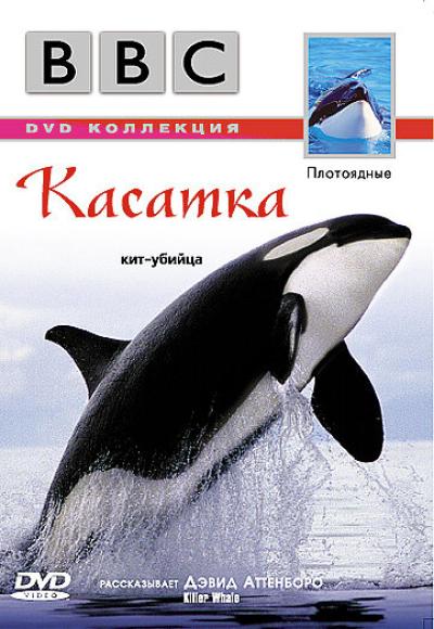 Постер к фильму BBC: Касатка