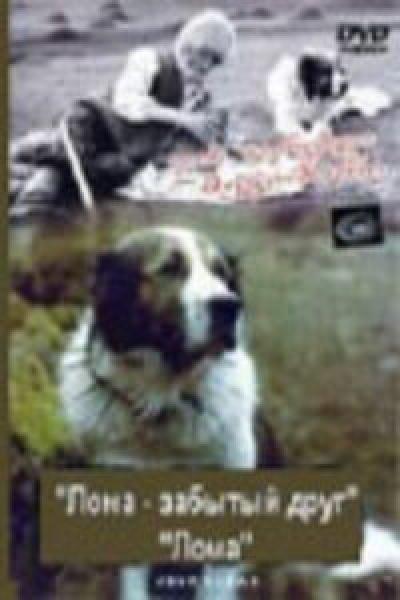 Постер к фильму Лома — забытый друг