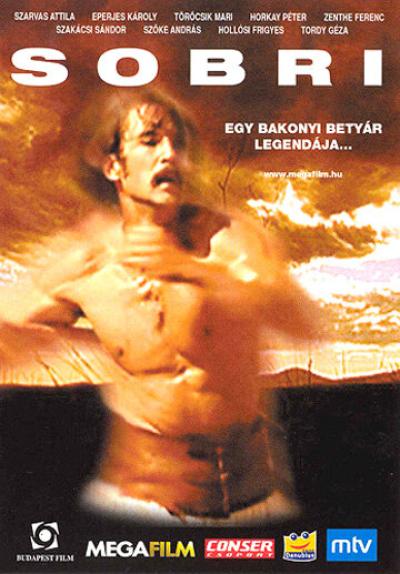 Постер к фильму Шобри