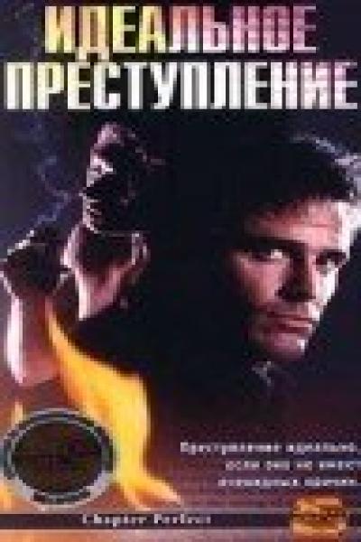 Постер к фильму Идеальное преступление