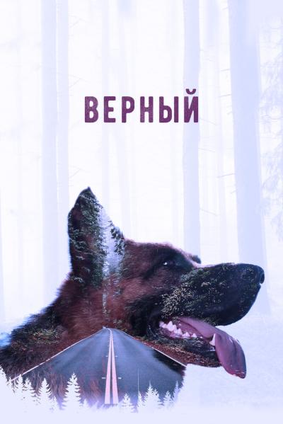 Постер к фильму Верный